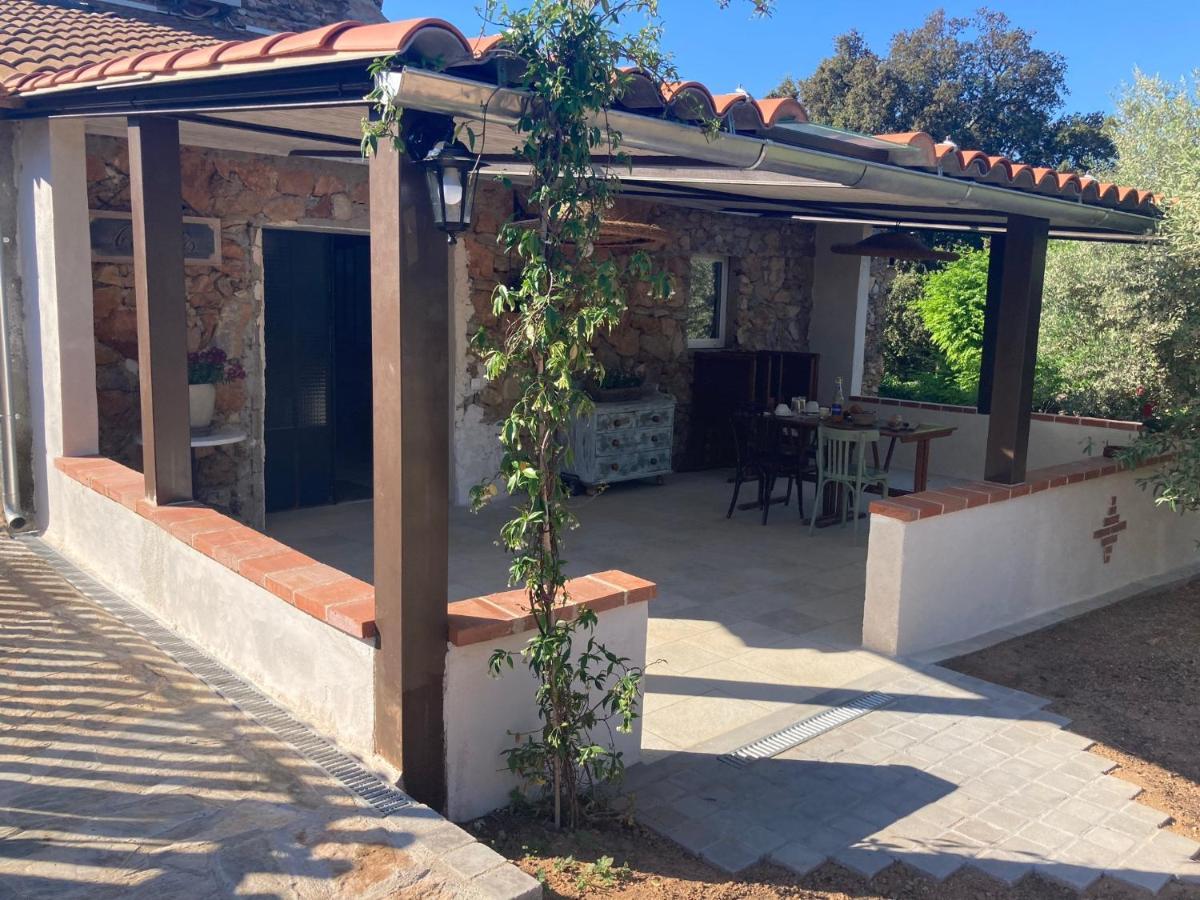 Ferienwohnung Mas Picagnol Oms Exterior foto