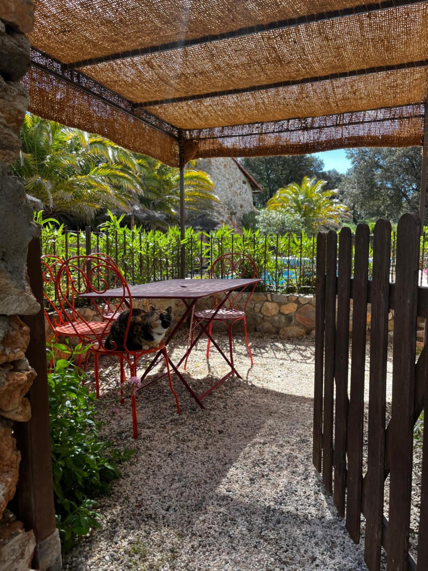 Ferienwohnung Mas Picagnol Oms Exterior foto