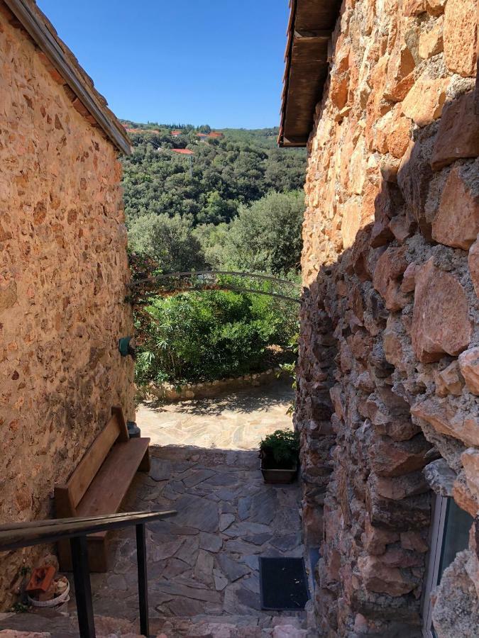 Ferienwohnung Mas Picagnol Oms Exterior foto